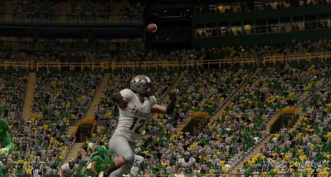 Madden 24: A Virtual Journey Through the NFL Playoffs